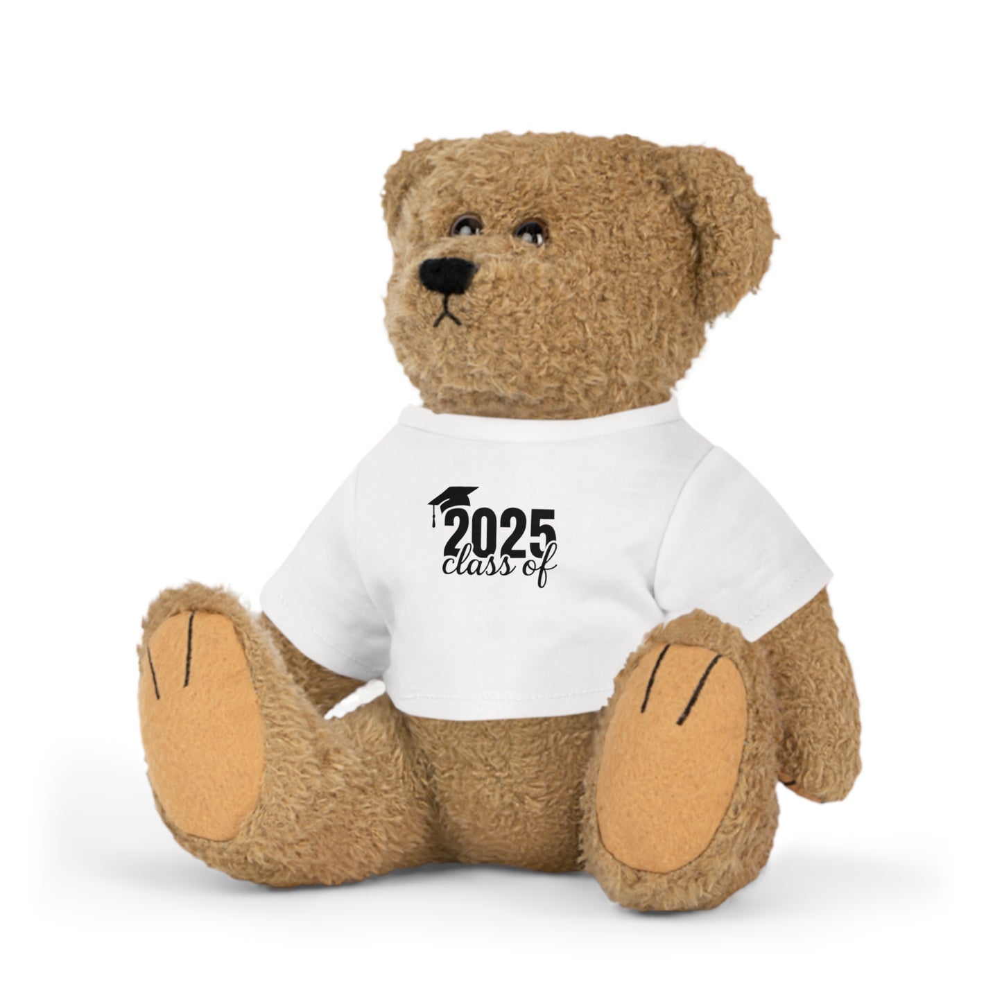 Class of 2025 Graduation Teddy Bear, the perfect gift for graduates.