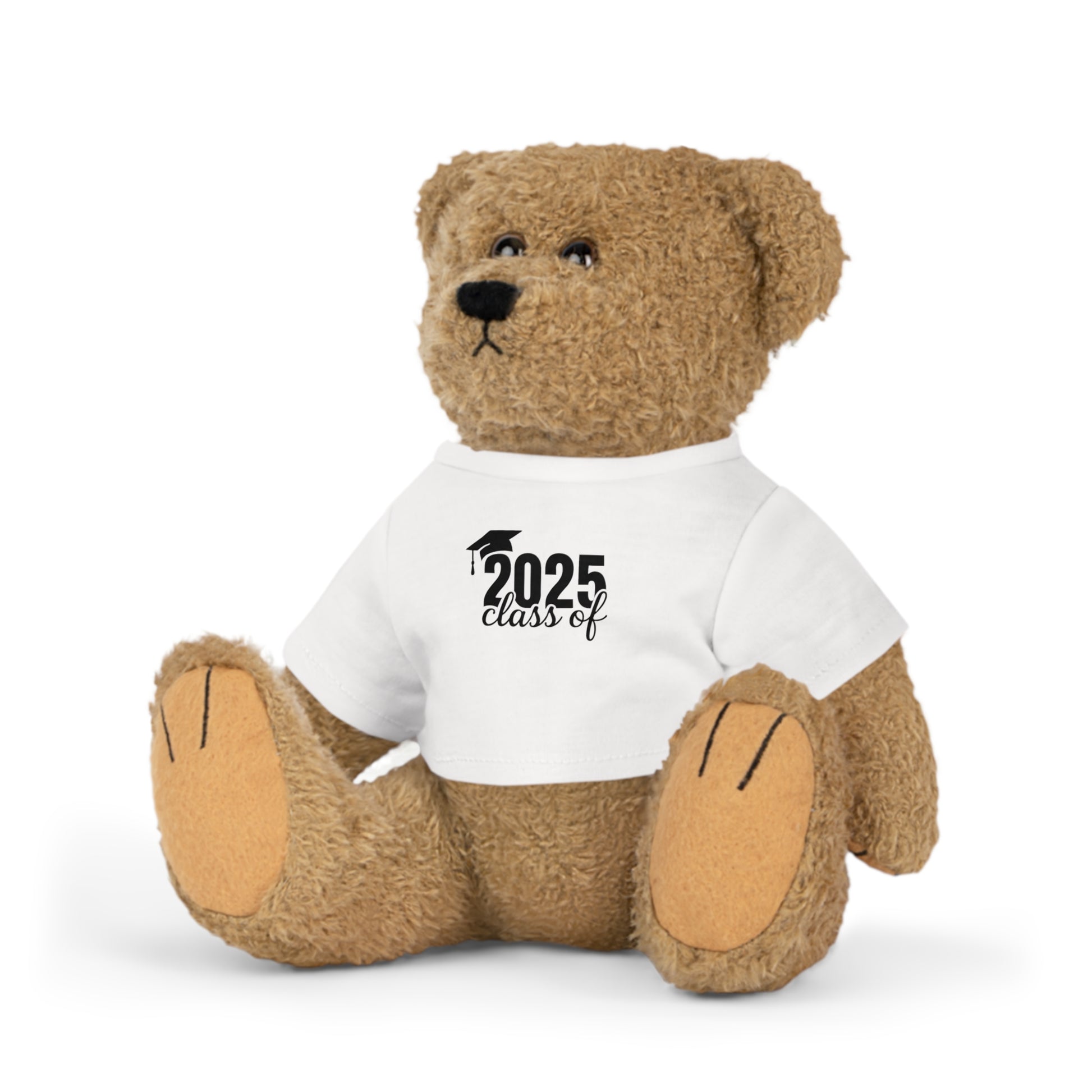 Class of 2025 Graduation Teddy Bear, the perfect gift for graduates.